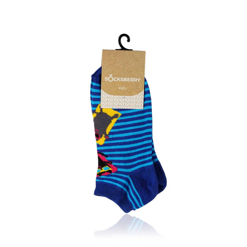 

Детские носки Socksberry Kids KS-0020 , укороченные , " Кот на синем " , р.20