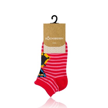 Детские носки Socksberry KS-0020 укороченные " Кот на малиновом " р.16