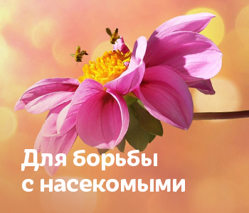 Для уничтожения насекомых