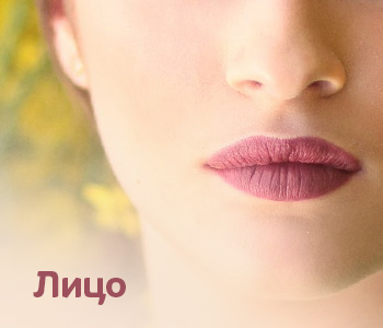 Лицо
