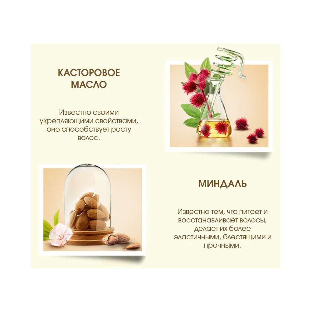 Шампунь Garnier Botanic Therapy для слабых , склонных к выпадению волос 