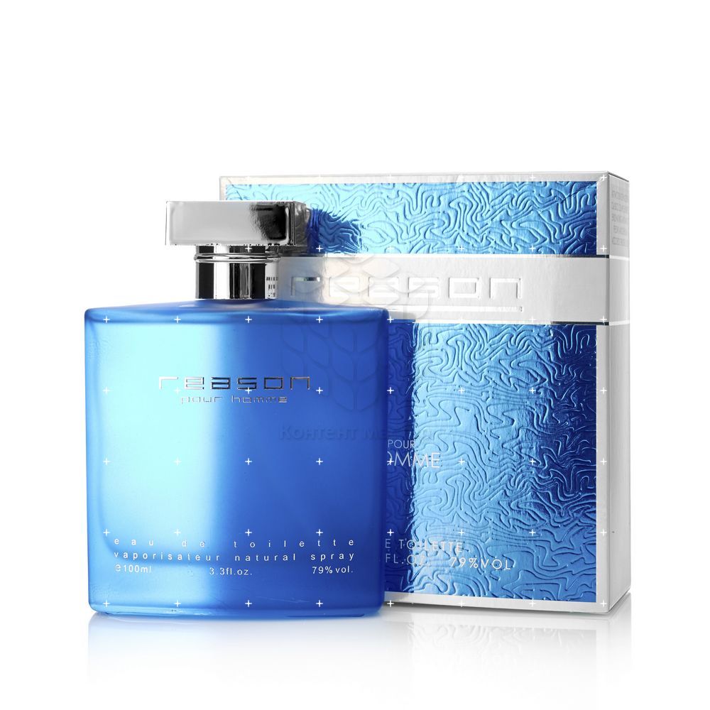 

Мужская туалетная вода Ponti Parfum " Reason Pour Homme " 100мл