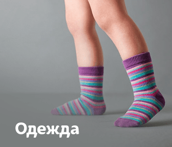 Одежда