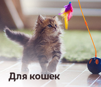 Для кошек