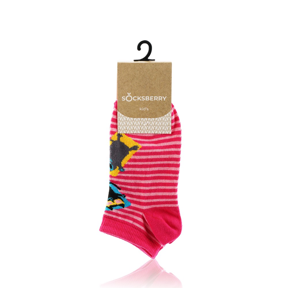 

Детские носки Socksberry Kids KS-0020 , Кот на малиновом , р.22