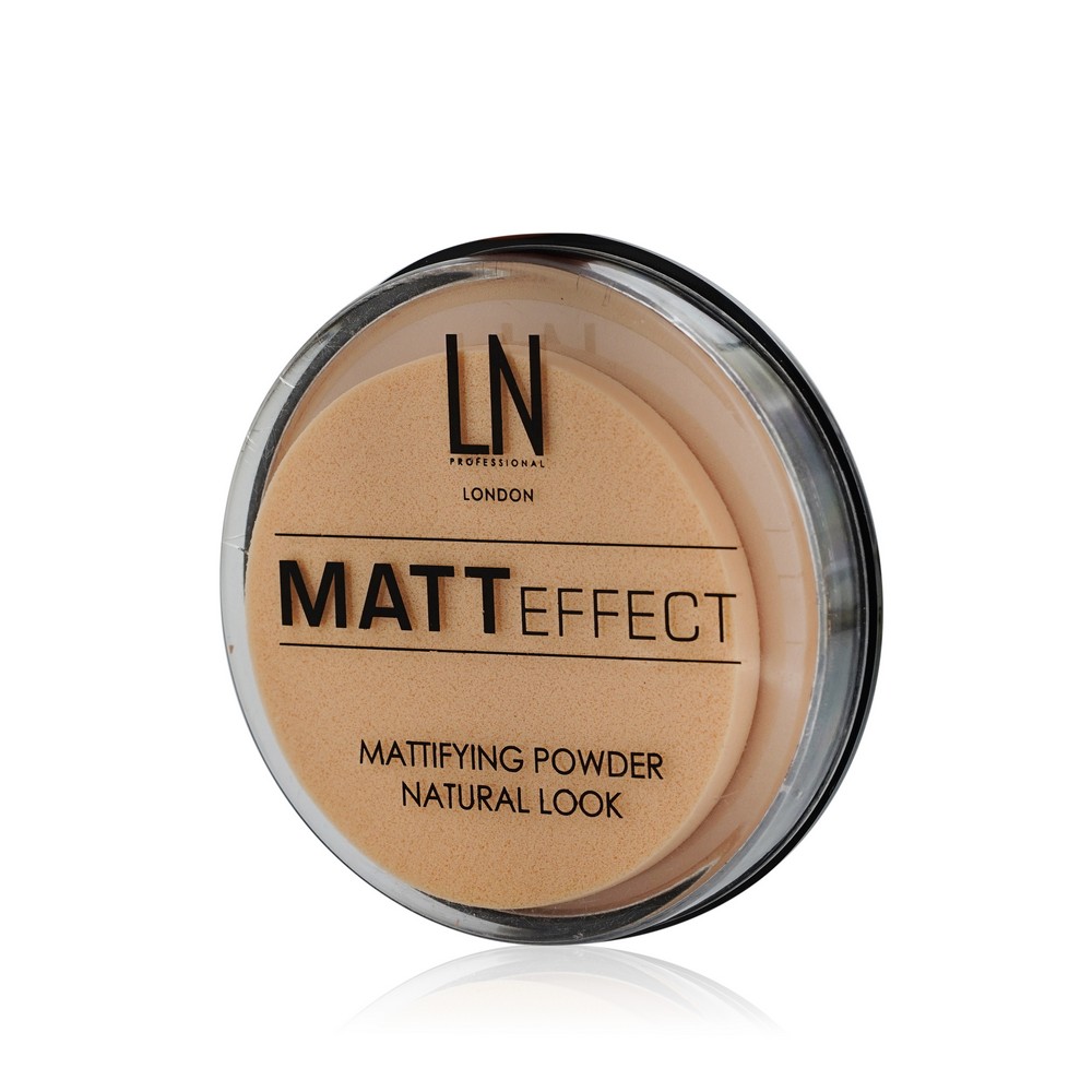 

Пудра для лица LN Professional Matt effect матирующая 104 12г