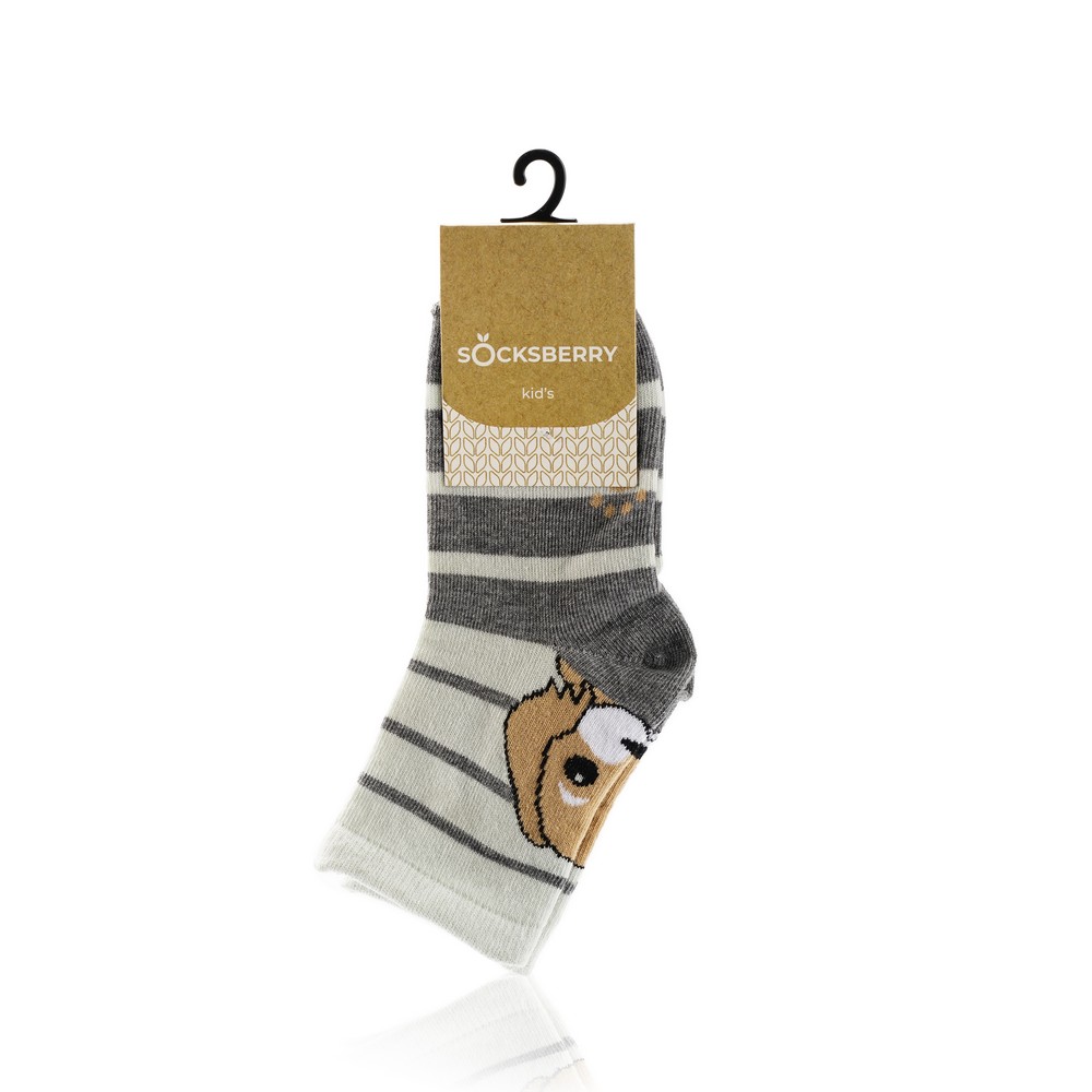 

Детские носки Socksberry Kids KS-0033 " Щенок на сером " , р.18