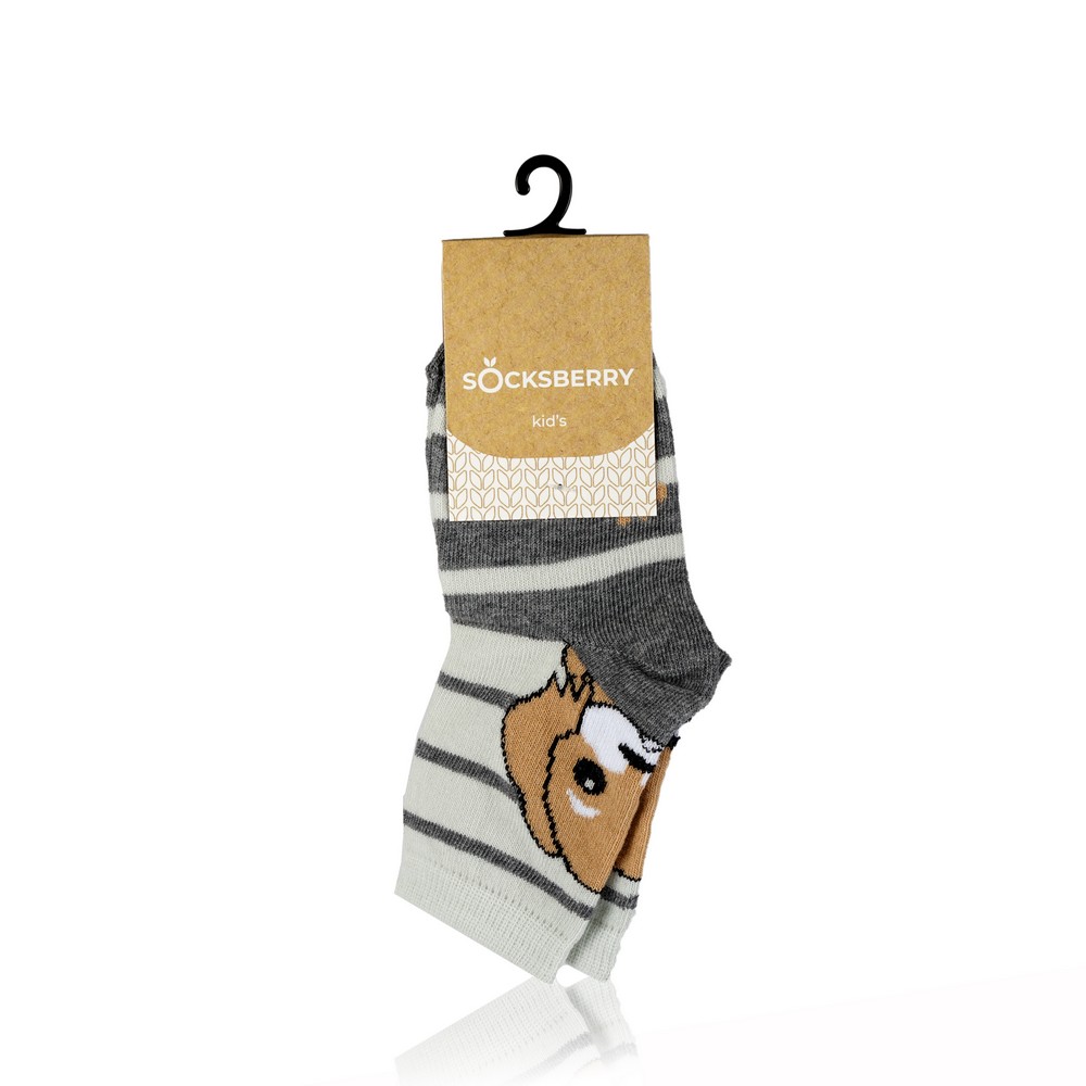 

Детские носки Socksberry Kids KS-0033 " Щенок на сером " , р.16