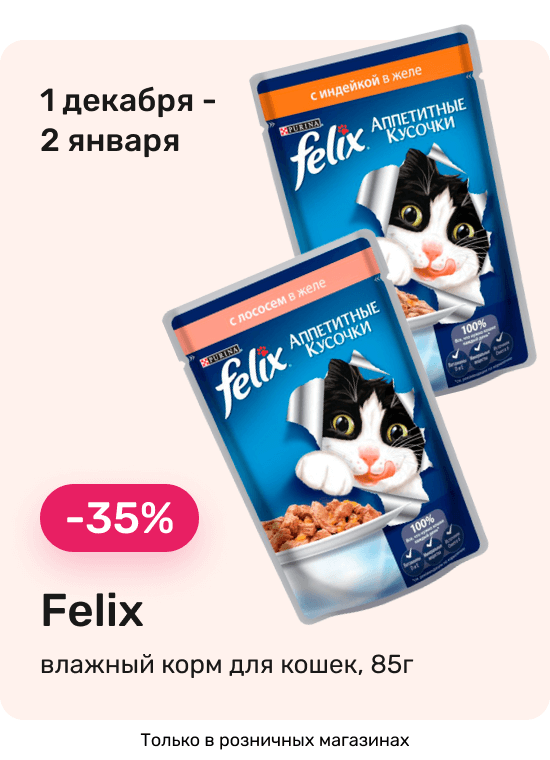 Кошка Магазин Нижнего Белья Пермь Кошка Магазин Нижнего Белья Пермь