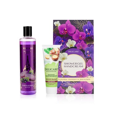 Женский подарочный набор Delicare ( гель для душа Bonjour Paris " Sugared Blackcurrant " 300мл + крем для рук " питательный " 75мл )