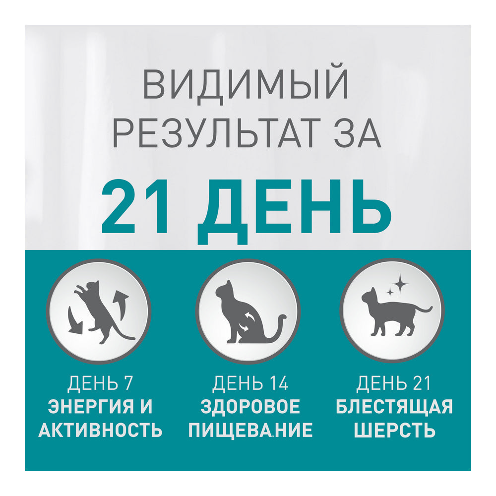 как выбрать напитки для животных йошкар